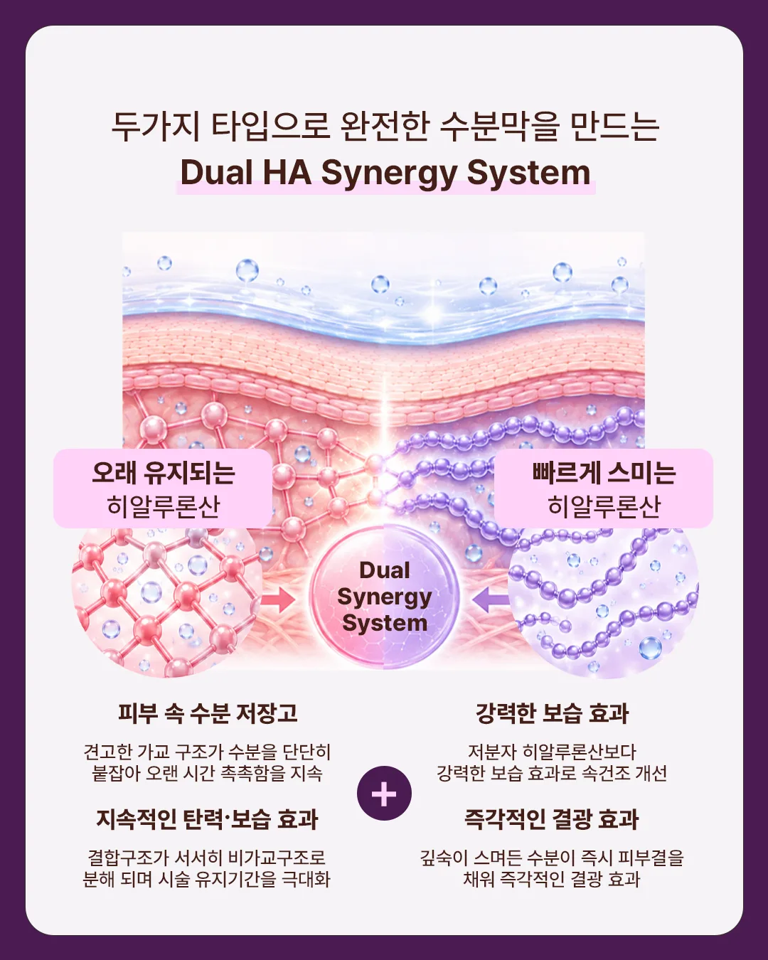 다미온의원 하이로라 — 듀얼 HA 시너지 시스템